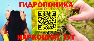 мяу мяу мука Гусиноозёрск