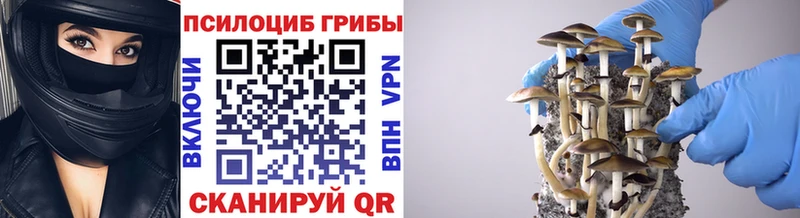 Галлюциногенные грибы мухоморы  Зима 