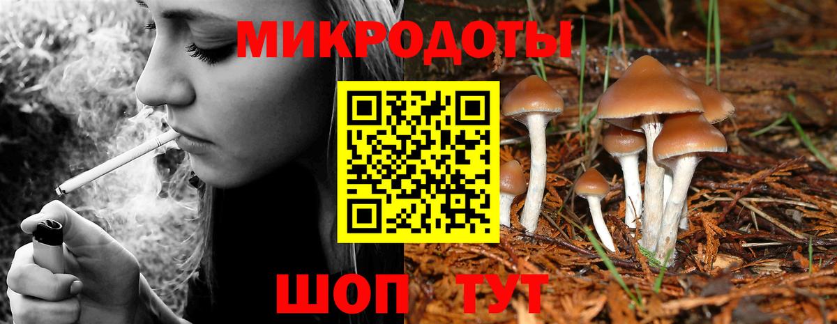 Галлюциногенные грибы прущие грибы  Галлюциногенные грибы Cubensis  Вход с VPN  Зима 