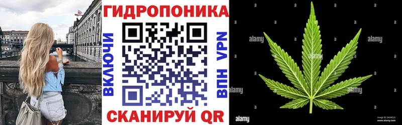 Бошки марихуана семена  дарнет шоп  Зима 